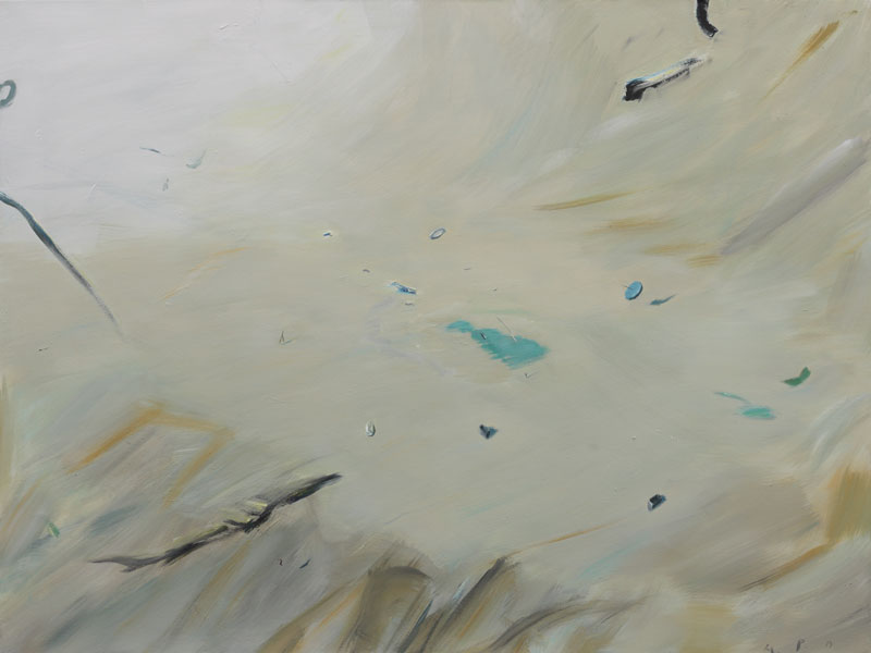 Plateau            |  2014    Ac./Leinw.  150 x 200 cm