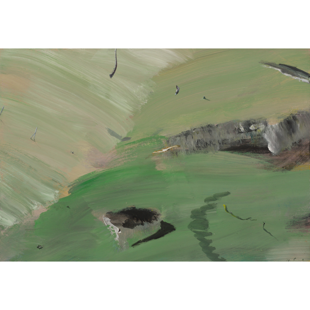 II 363            |  2016    Acryl/Papier  38 x 53,5 cm